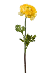 Ranunculus Spray 50 cm sztuczna roślina