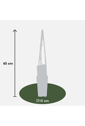 Powojnik wielkokwiatowy Piilu