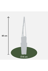 Powojnik wielkokwiatowy Hagley Hybrid