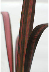 Nowozelandzki len Sundowner