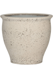 Śródziemnomorski Ares S Kalk