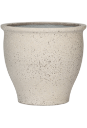 Śródziemnomorski Ares M Kalk