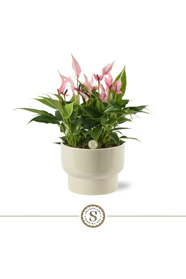 Stół Anthurium Lilli Athene