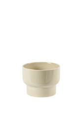 Anturium stołowe Lilli Athene