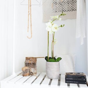 Sztuczna orchidea
