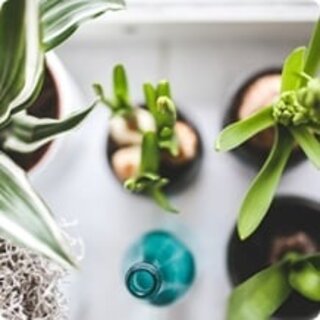 Wskazówka dotycząca prezentu