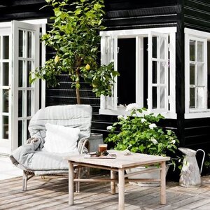 Duże rośliny ogrodowe