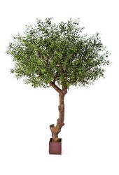 Sztuczna roślina oliwkowa polietylenowa Natural Olive Tree