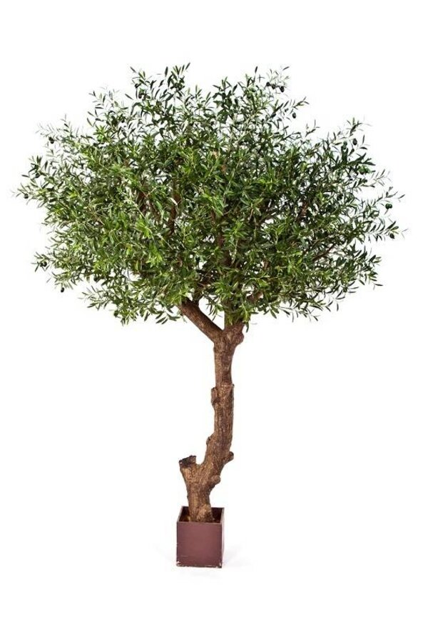 Sztuczna roślina oliwkowa polietylenowa Natural Olive Tree