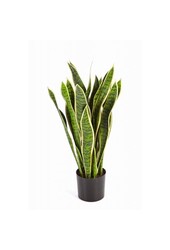 Sansevieria var. sztuczna roślina