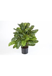 Sztuczna roślina Calathea