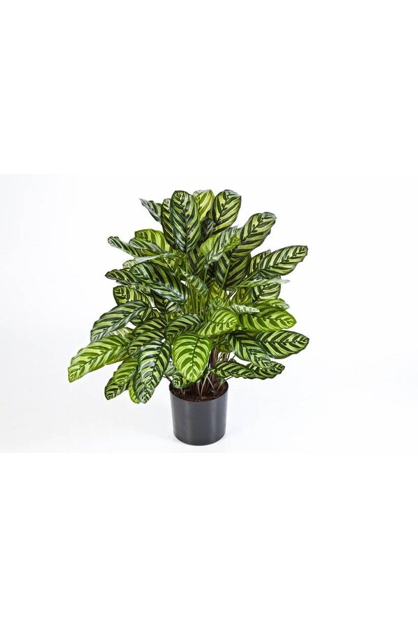 Sztuczna roślina Calathea