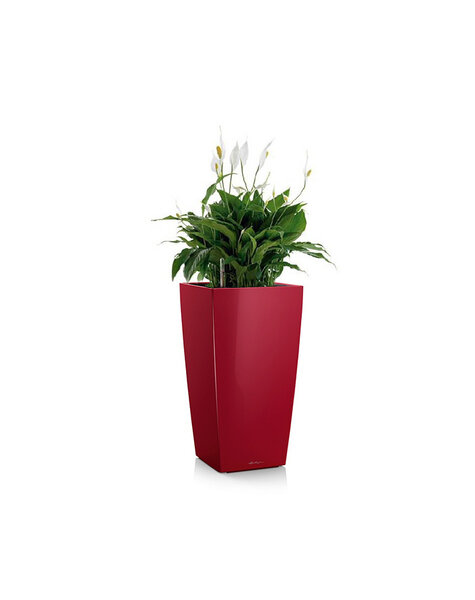 Lechuza Lechuza | Spathiphyllum