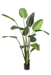 Sztuczna roślina Strelitzia XL
