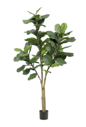 Sztuczna roślina Ficus Lyrata XL
