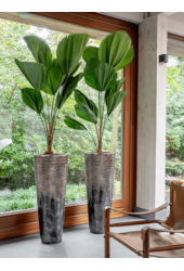 Luksusowa Donica Comet Bronze