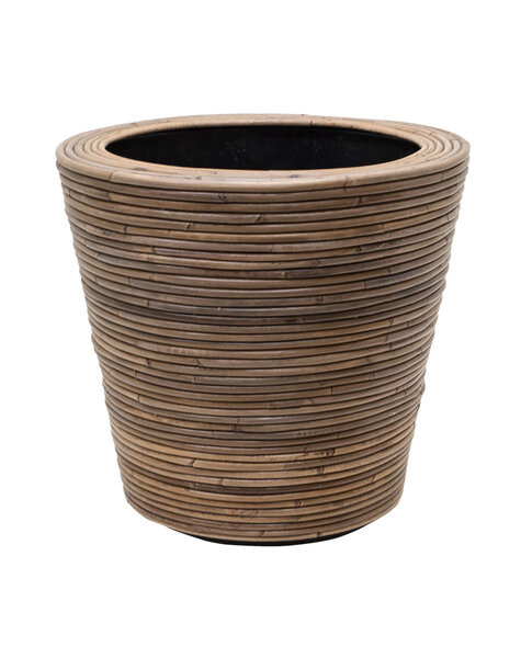 Rattan
