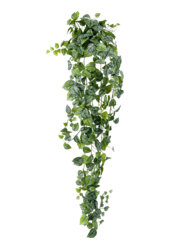 Sztuczna roślina Scindapsus Pictus