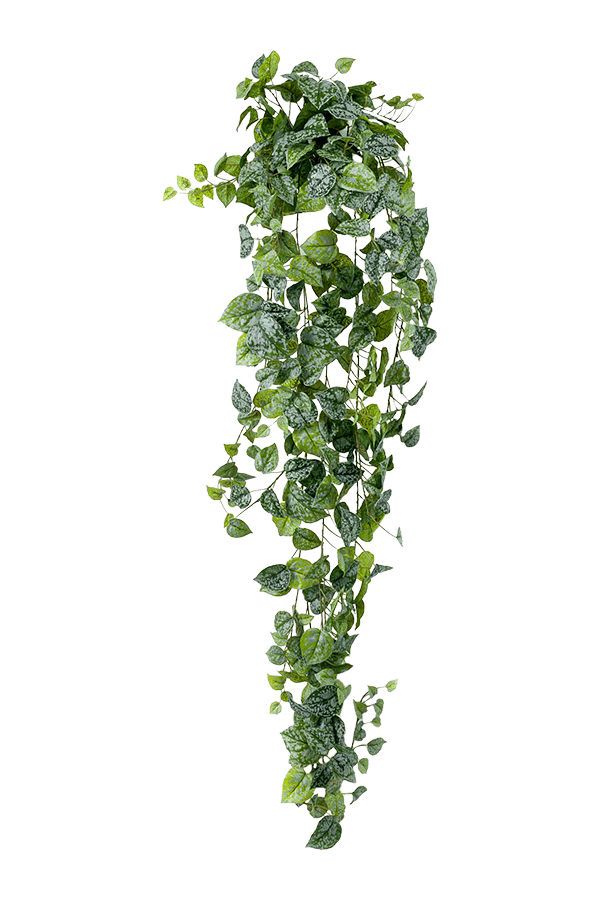 Sztuczna roślina Scindapsus Pictus