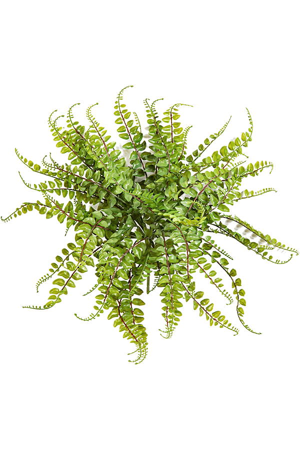 Sztuczna roślina Asplenium Maidenhair