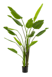 Sztuczna roślina Strelitzia Nicolai