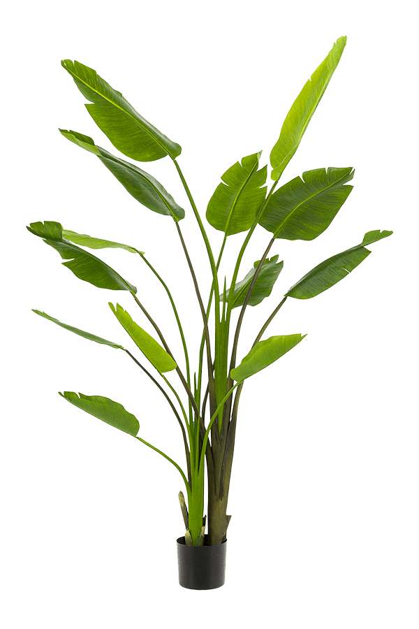 Sztuczna roślina Strelitzia Nicolai