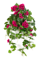 Sztuczna roślina geranium