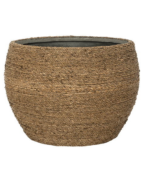 Bari grass 40/28