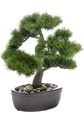 Sztuczna roślina Pinus