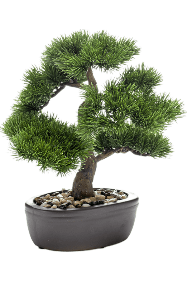 Sztuczna roślina Pinus