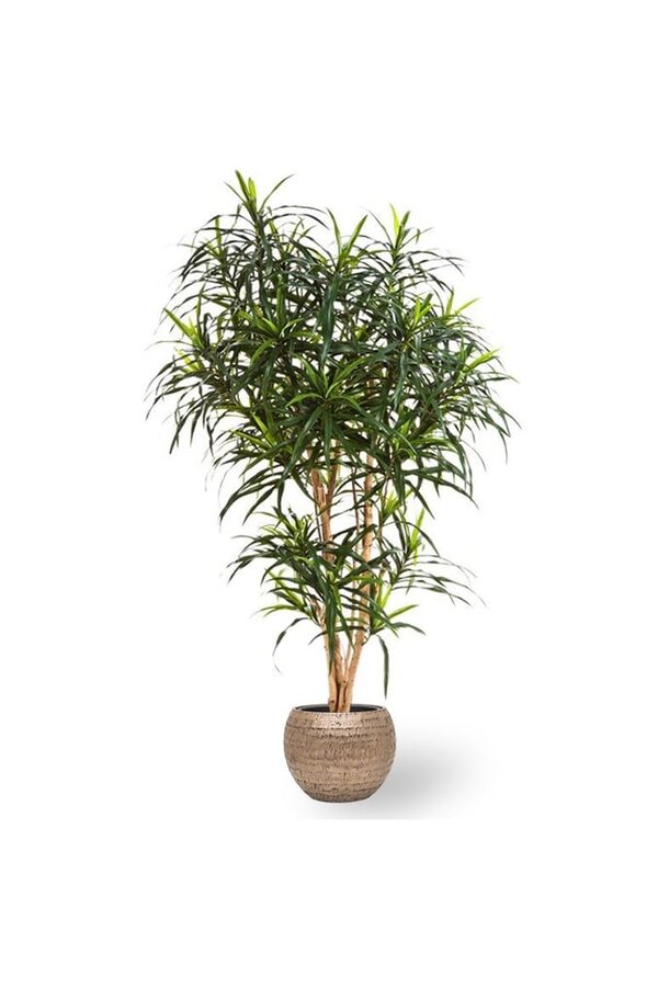 Sztuczna roślina Dracena w młotkowanej miedzi