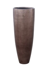 Palma Kentia w metalicznej kawie