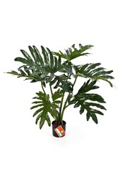 Sztuczny filodendron