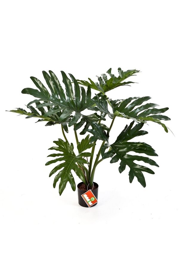 Sztuczny filodendron