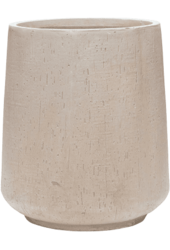 Strelicja w Darcy High Beige