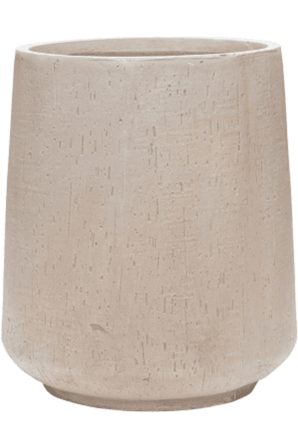 Strelicja w Darcy High Beige