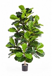 sztuczna roślina Ficus lyrata w Pure Rond S