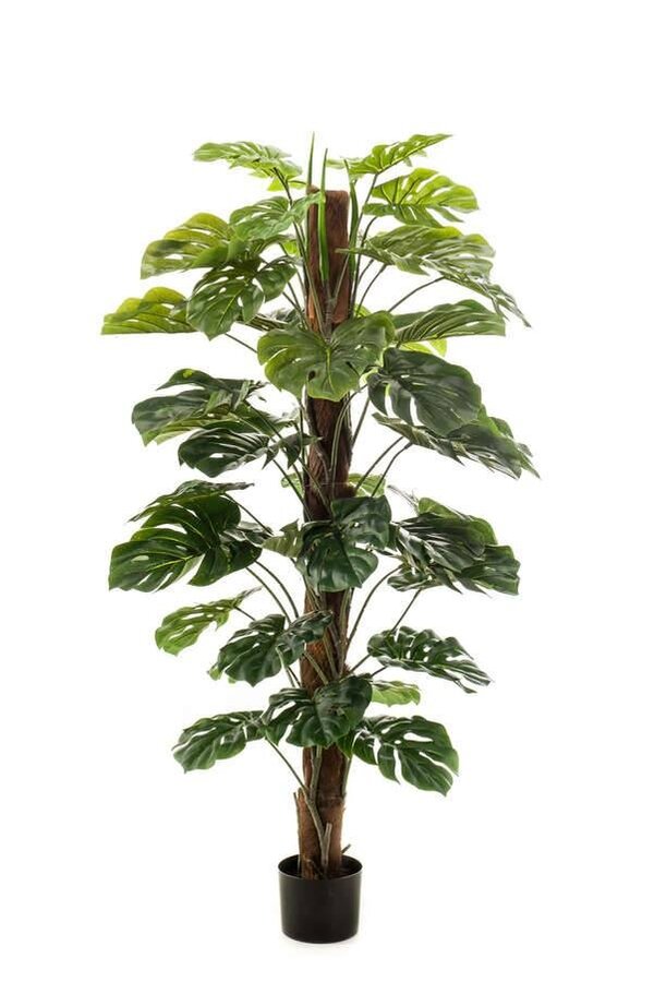 Sztuczna monstera
