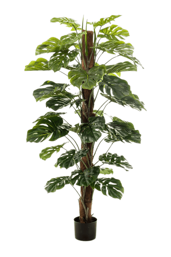 Sztuczna roślina Monstera S
