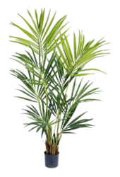 Sztuczna roślina Kentia Bush