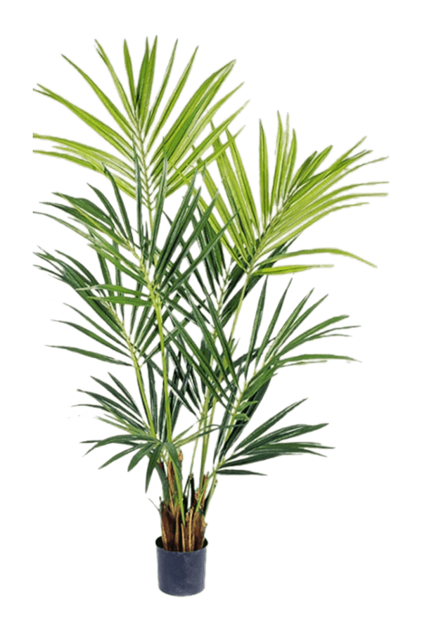 Sztuczna roślina Kentia Bush