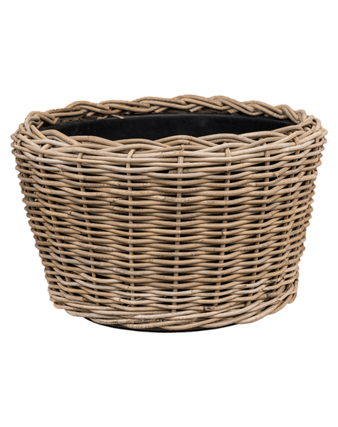 Rattan