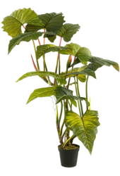 Sztuczna roślina Colocasia Bush