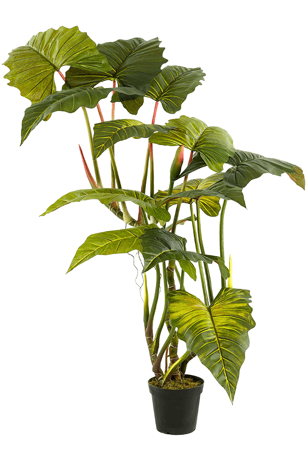 Sztuczna roślina Colocasia Bush