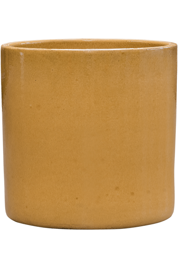 Tuba żółta M
