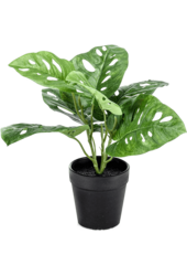 Sztuczna roślina Monstera