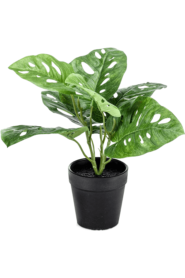 Sztuczna roślina Monstera