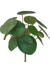 Sztuczna roślina Pilea