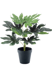 Sztuczna roślina Fatsia