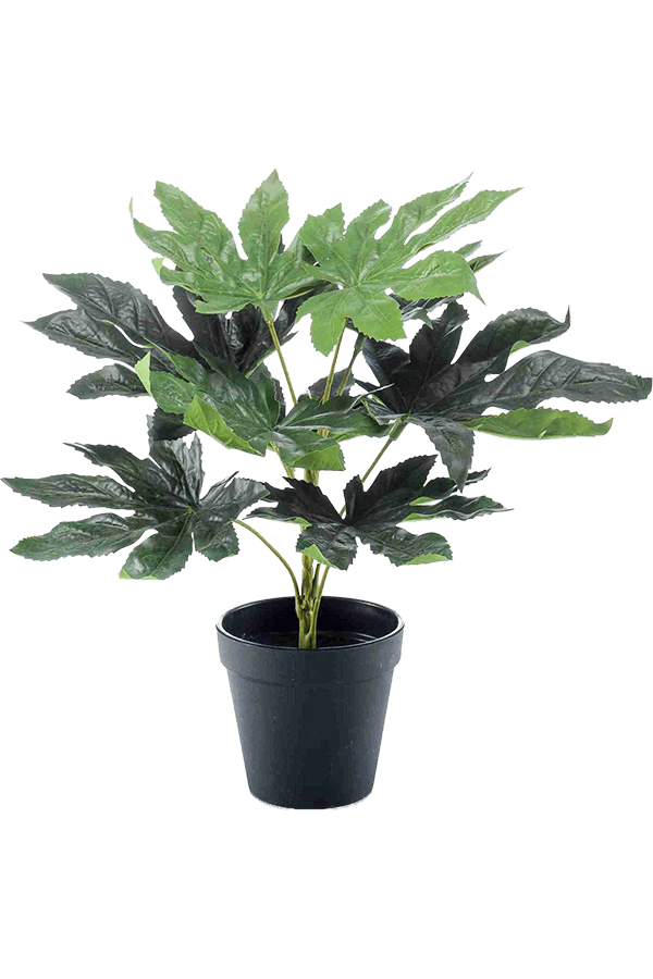 Sztuczna roślina Fatsia